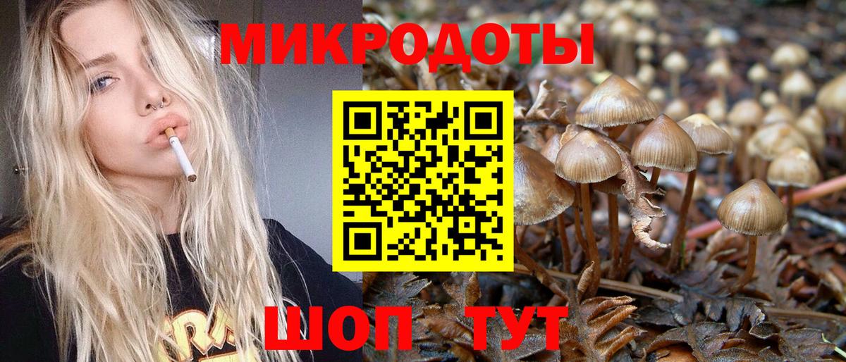 даркнет сайт  Вход с VPN  Лыткарино  Псилоцибиновые грибы мухоморы  Галлюциногенные грибы прущие грибы 